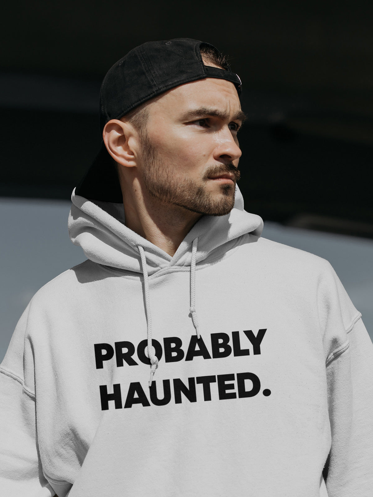Probably Haunted hoodie